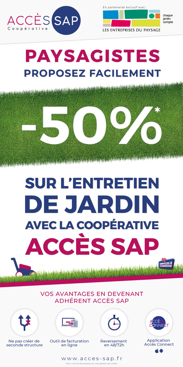 bannière web création