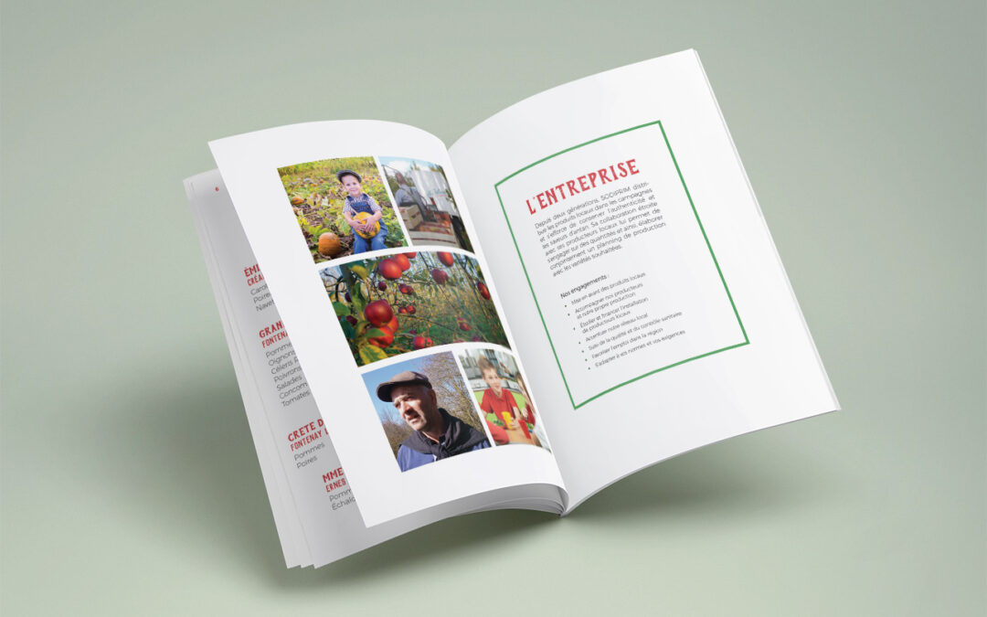 MEP : Mise en page de livres et brochures.